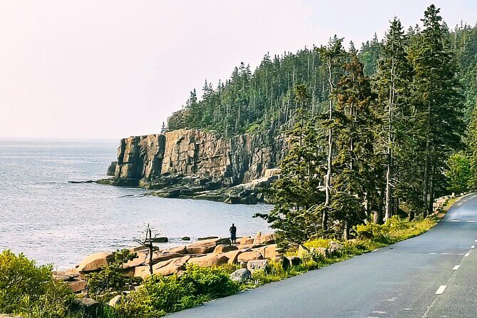 Acadia National Park Tour Sea to Summit - Authentic Experiences and Guide Highlights