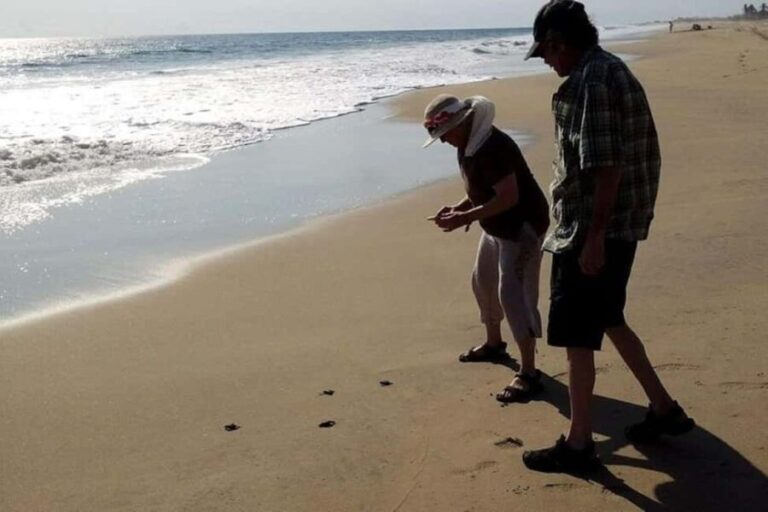 -Acapulco: 6hr City Tour & Turtle Release & High Diver Show - The Itinerary Breakdown