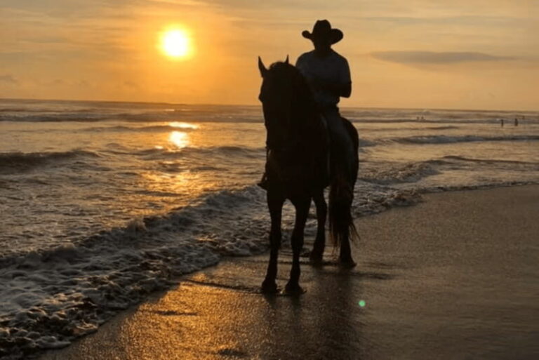 Acapulco: Bonfil Beach Horseback Riding Experience - What the Reviews Say