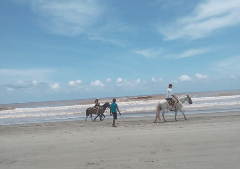 Acapulco: Horseback Riding, Turtle Camp, and Crocodile Tour - A Detailed Look at the Tour Experience