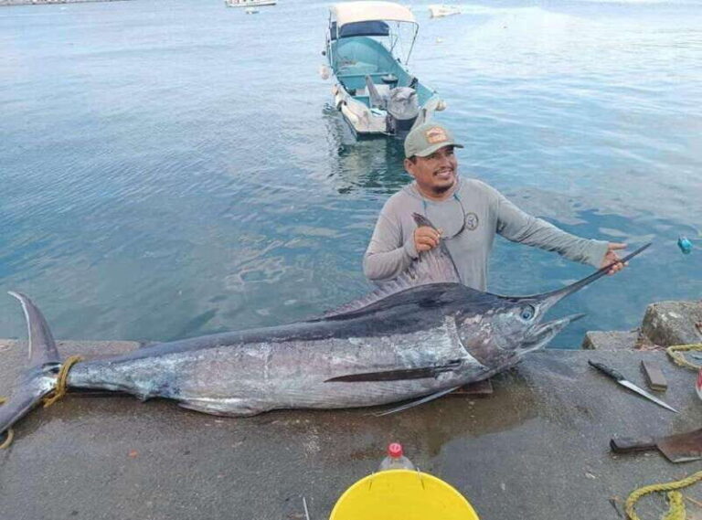Acapulco: Private Fishing Experience - Who Should Consider This Tour