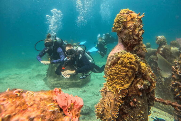 Acapulco: Scuba Diving in Roqueta Island - Pricing and Value