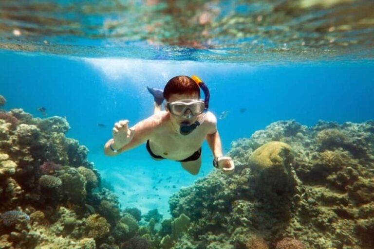 Acapulco: Snorkeling - Who Will Love This Tour?