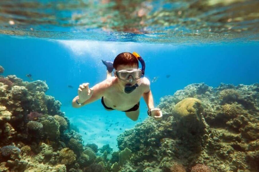 Acapulco: Snorkeling - Who Will Love This Tour?