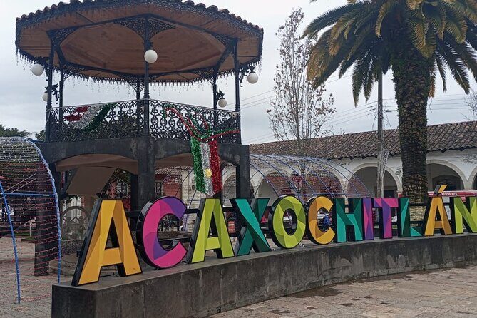 Acaxochitlán Local Community and Traditions Tour from Mexico - Analyzing the Price and Value
