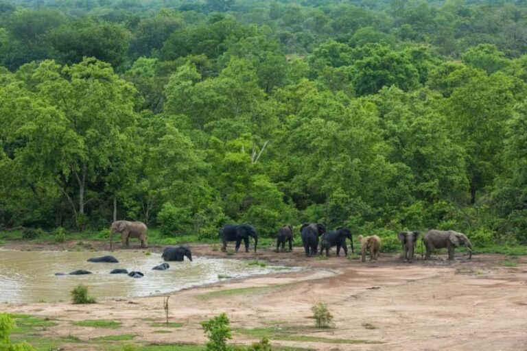 Accra: 11-Day Northern Territories, Savannah, & Tribes Tour - Who Is This Tour Best For?