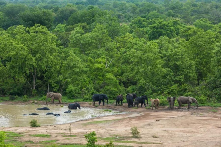 Accra: 11-Day Northern Territories, Savannah, & Tribes Tour