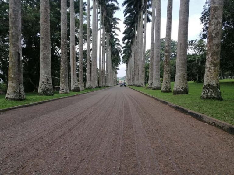 Accra: Aburi Botanical Gardens and Waterfalls Private Tour - An Overview of the Experience