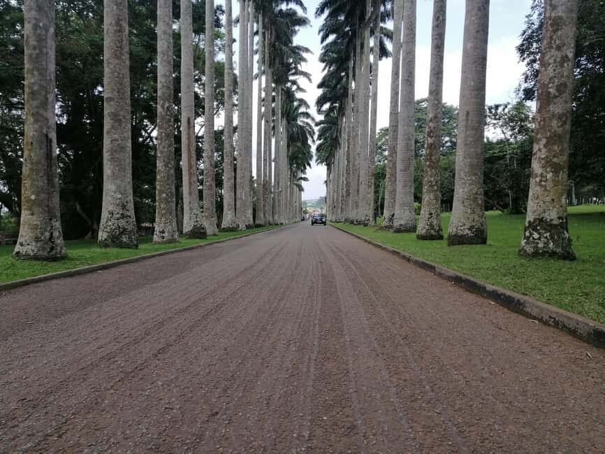 Accra: Aburi Botanical Gardens and Waterfalls Private Tour - An Overview of the Experience