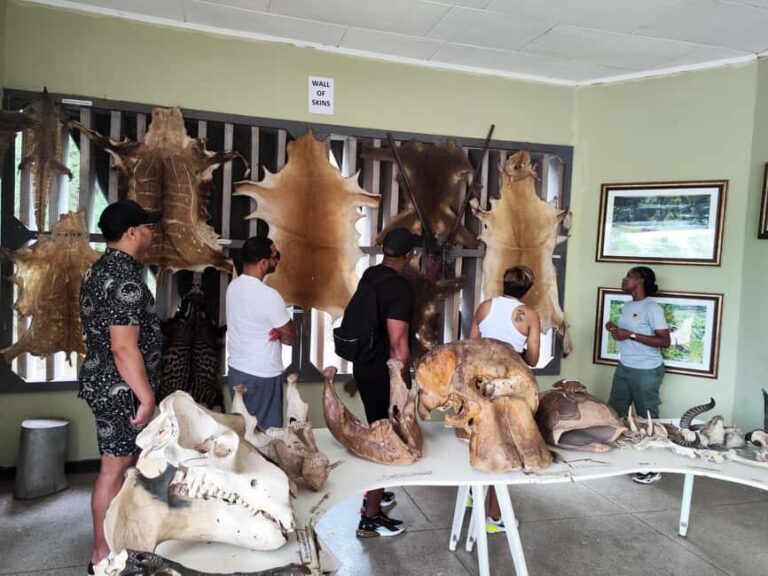 Accra: Half day private safari with pick up - The Value of a Private Guided Tour