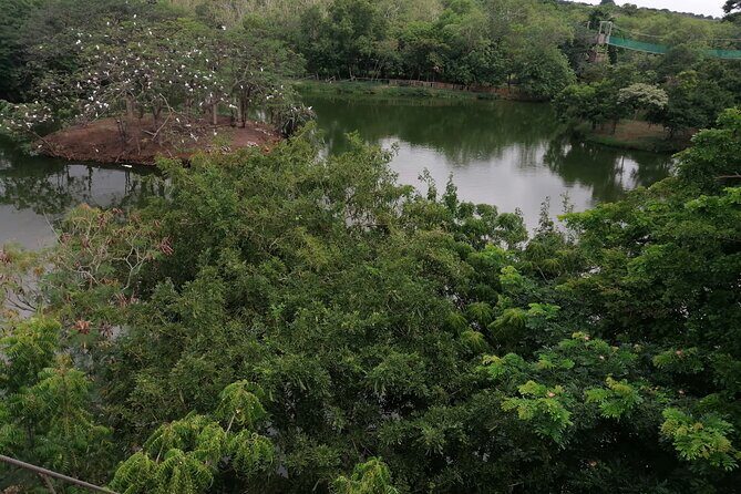 Accra Zoo, Canopy Walk and Botanical Gardens Private Tour - What Makes This Tour Worth It?