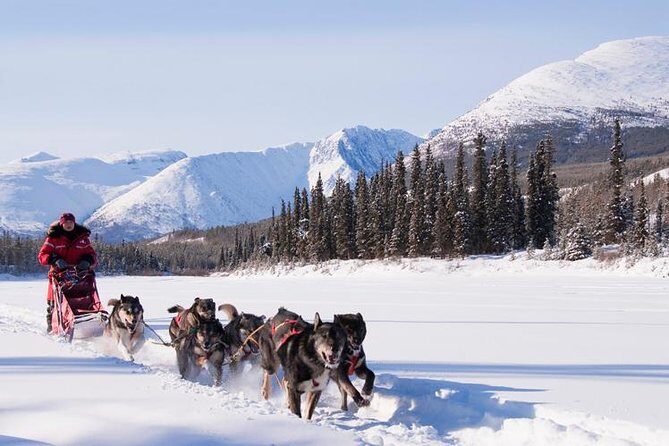 Active Winter Adventure in Yukon | 5 days - Who Will Love This Tour?