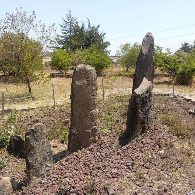Adadi Mariam & Tiya Stelae Day Trip - What’s Included & What to Keep in Mind