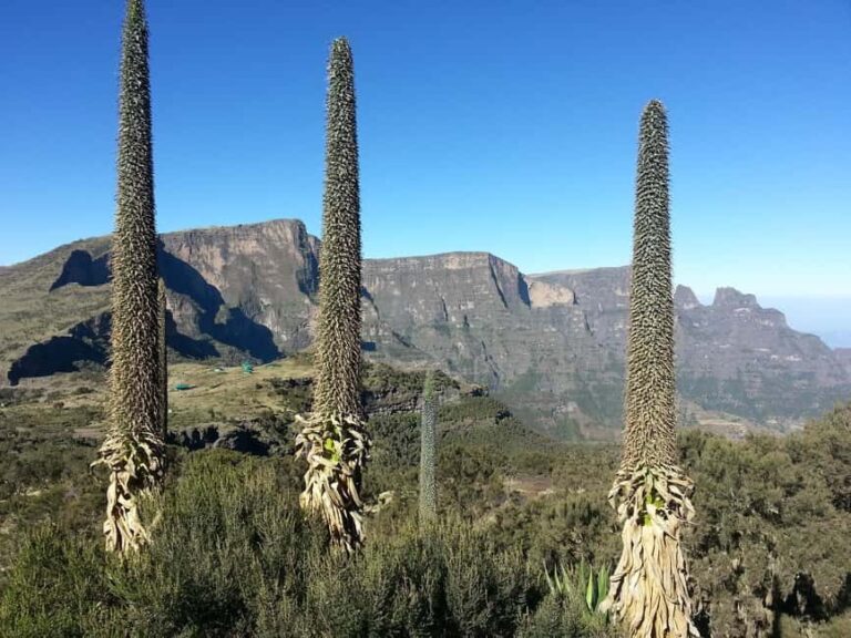 Addis Ababa: 10-Day Simien Mountains & Lalibela Tour - Who Will Love This Tour?