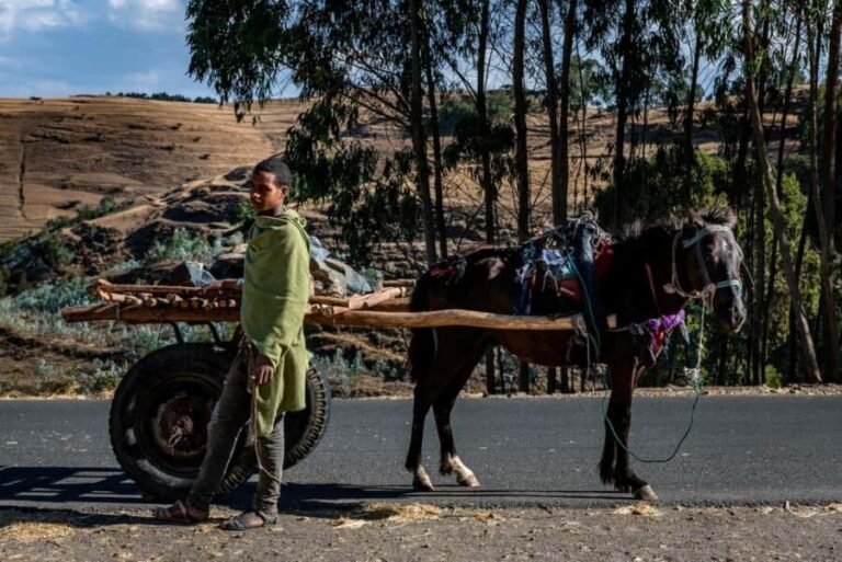 Addis Ababa Day Trip to Debre Libanos - The Itinerary in Detail