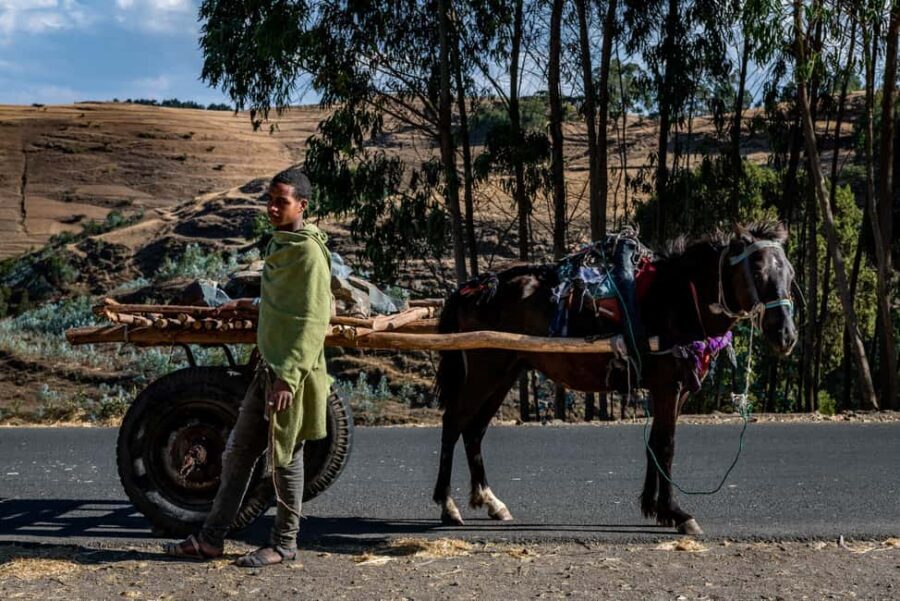Addis Ababa Day Trip to Debre Libanos - The Itinerary in Detail
