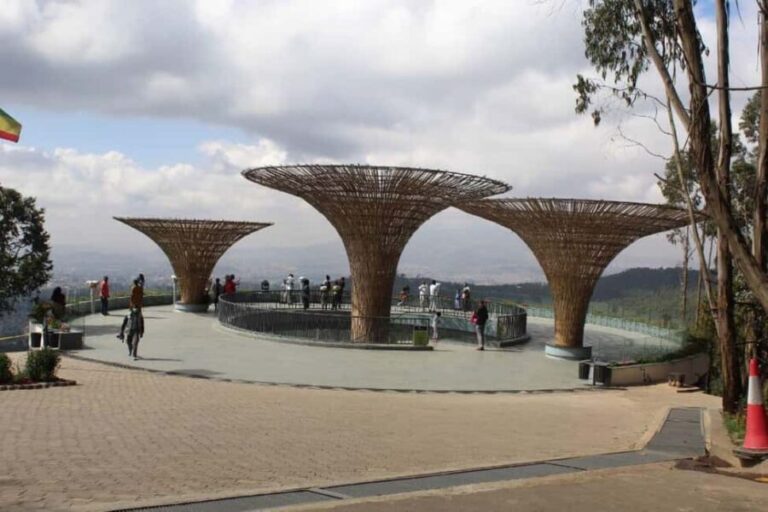 Addis Ababa: Full-Day City Tour with Lunch - Who This Tour Is Best For