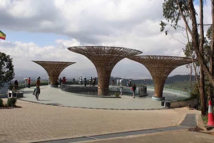 Addis Ababa: Full-Day City Tour with Lunch - Who This Tour Is Best For