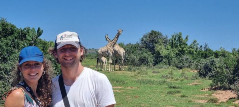 Addo Elephant Park and Giraffe Walk Private Full Day Safari - What Makes This Tour Stand Out?
