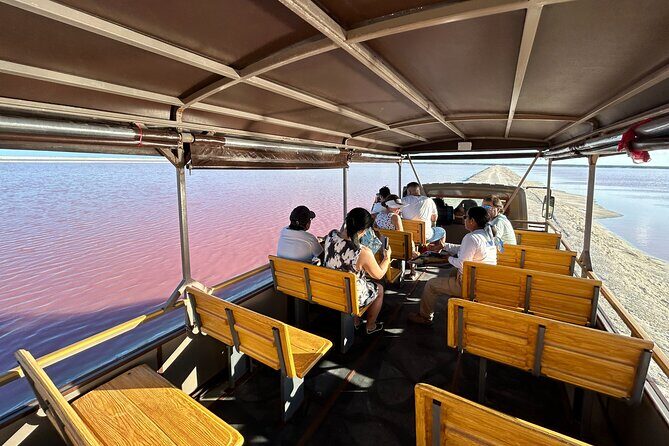 Admission Ticket to Safari in the Pink Lagoons of Las Coloradas - Frequently Asked Questions (FAQs)