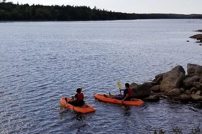 Adult Single Kayak Rental - Who Would Enjoy This Experience?