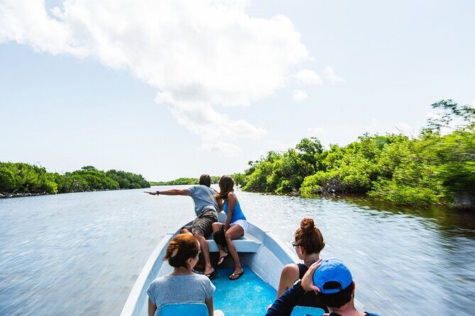 Adventour Day: Coloradas and Rio Lagartos Excursion from Cancun! - Practical Details and Tips