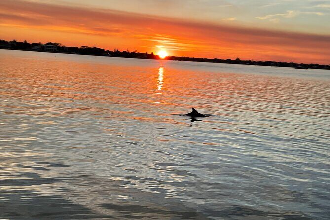 Adventure Boat Tours - Sunset Water Tour in St. Augustine - Who Will Love This Tour?