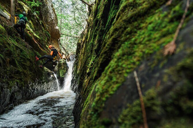 Adventure Canyoning Kelowna - Authentic Experiences Shared by Reviewers