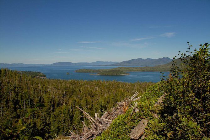 Adventure Kart Expedition- Ketchikan, AK - FAQs