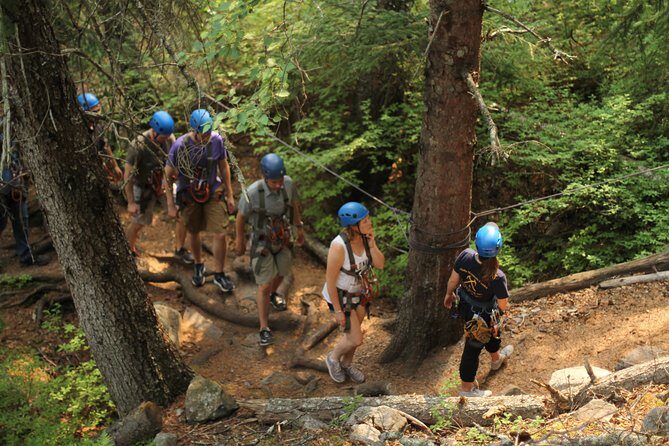 Adventure Parks & Zipline Tour - What Makes This Tour Stand Out?
