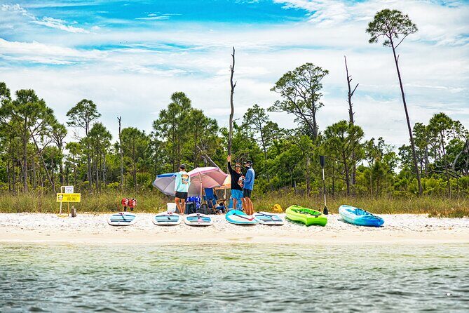 Adventure Tour to Shell Island on the Privateer Catamaran - The Activities and Why They Matter
