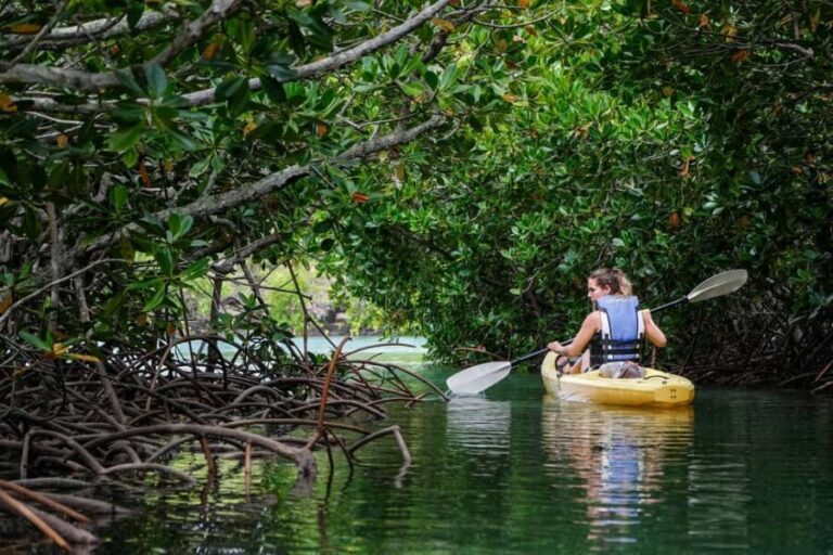 Adventurous Mauritius: private trip with hotel & activities - Exploring Value and Practical Details