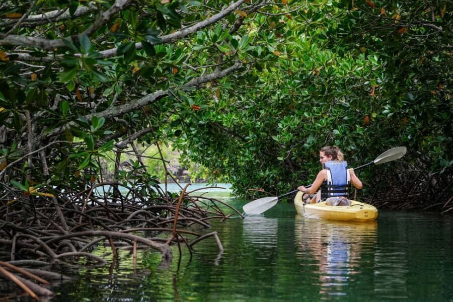 Adventurous Mauritius: private trip with hotel & activities - Exploring Value and Practical Details