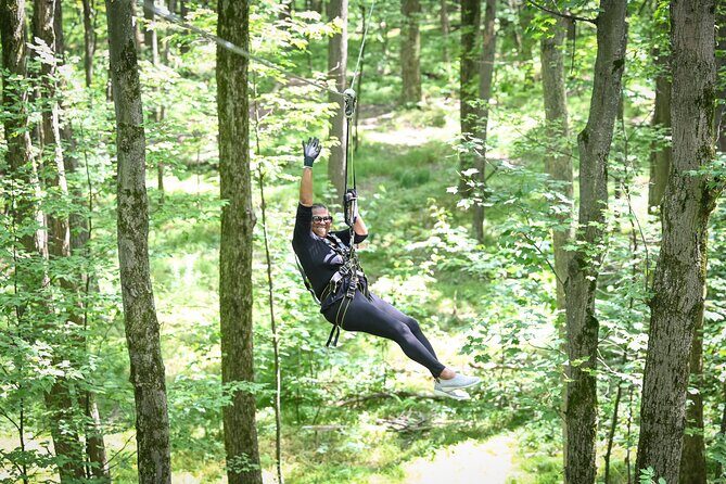 Aerial Adventure Park Admission