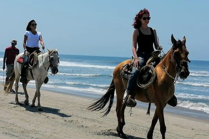 Afro-Mex Village Experience -Horseback Ride -Turtle Hatch & Crocs - The Itinerary in Detail