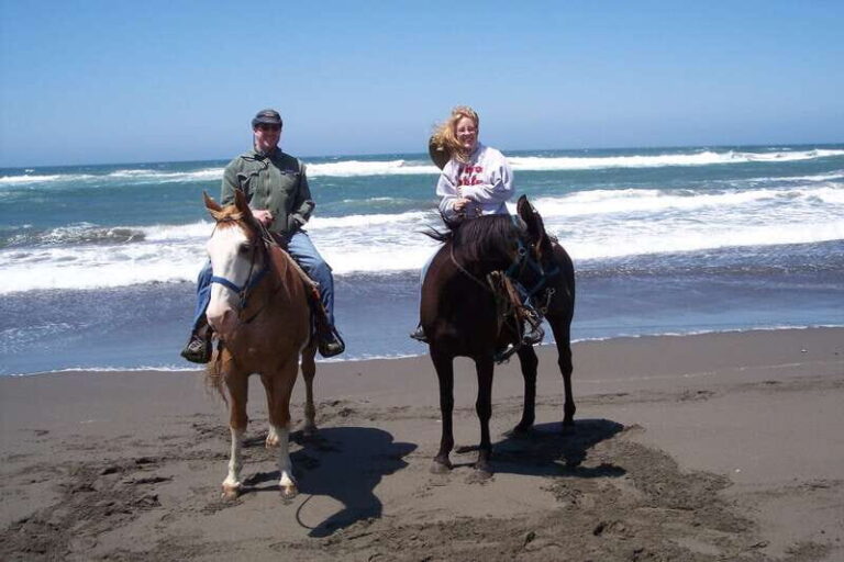 *Afro-Mex Village Horse Ride, Turtle Release Crocodile Farm - The Practicalities of the Tour