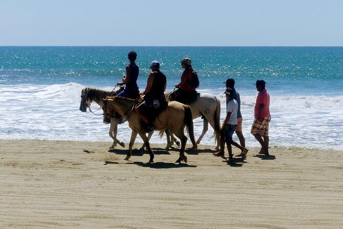 Afro-Mexican Village: Horseback Beach Ride, Crocs & Cliff Diver - Why This Tour Offers Good Value