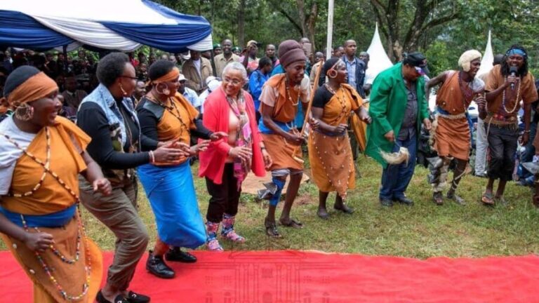 Afternoon Cultural Tour at Bomas of Kenya in Nairobi - Who Will Enjoy This Tour?