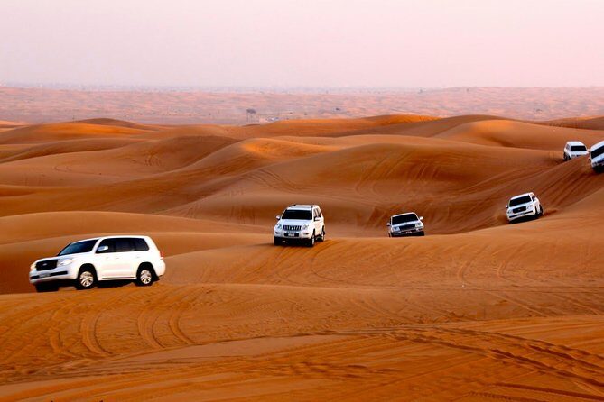 Afternoon Desert Safari with BBQ Dinner - The Sum Up
