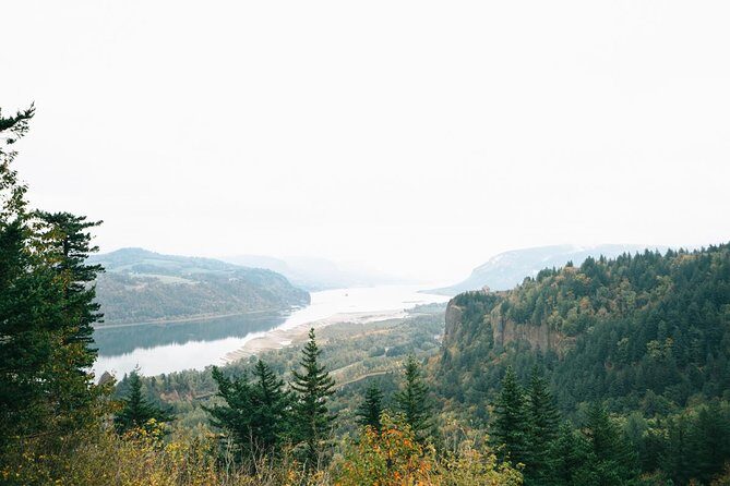 Afternoon Half-Day Multnomah Falls and Columbia River Gorge Waterfalls Tour from Portland - Why This Tour Might Be Perfect for You
