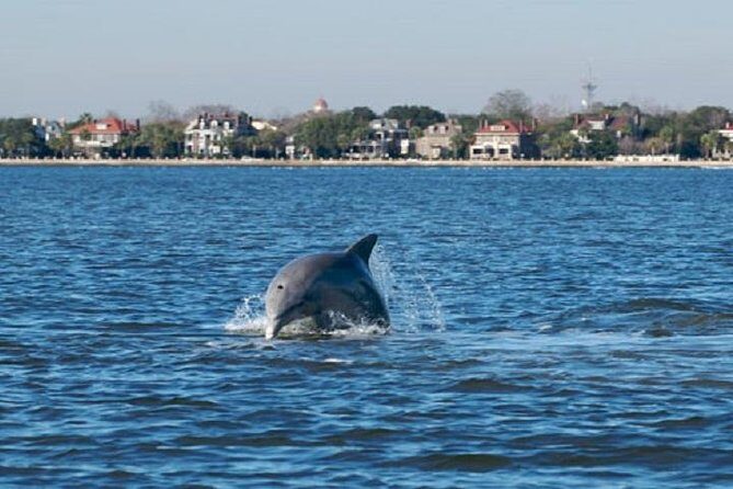 Afternoon Schooner Sightseeing Dolphin Cruise on Charleston Harbor - What’s Included and What’s Not