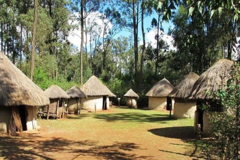 Afternoon Tour To Bomas Of Kenya. - Who Should Do This Tour?