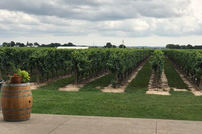 Afternoon Wine, Beer & Charcuterie Tour - Detailed Breakdown of the Itinerary