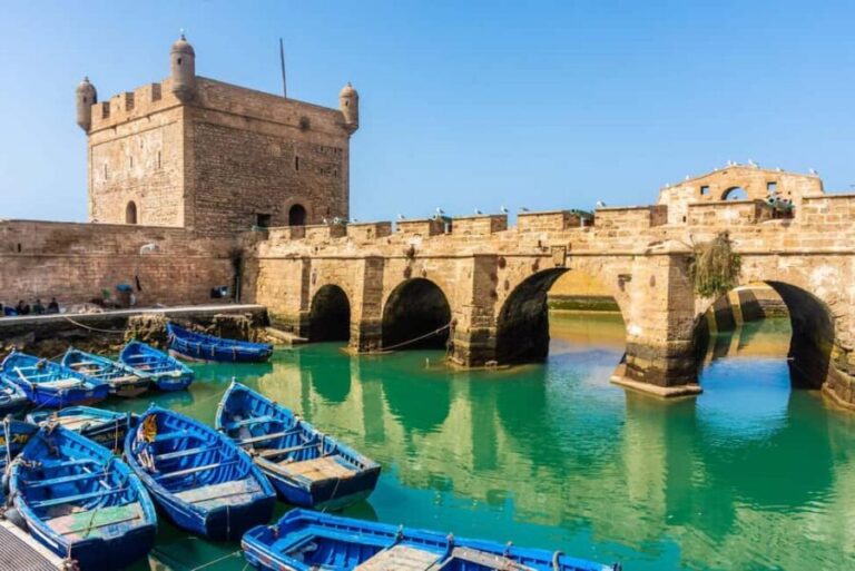 Agadir: 2-Day Essaouira Tour with Overnight Stay - The Morning After: More Free Time & Return to Agadir