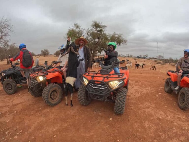 Agadir: Agafay Desert Quad Biking With Goats On The Tree - The Value and What’s Included
