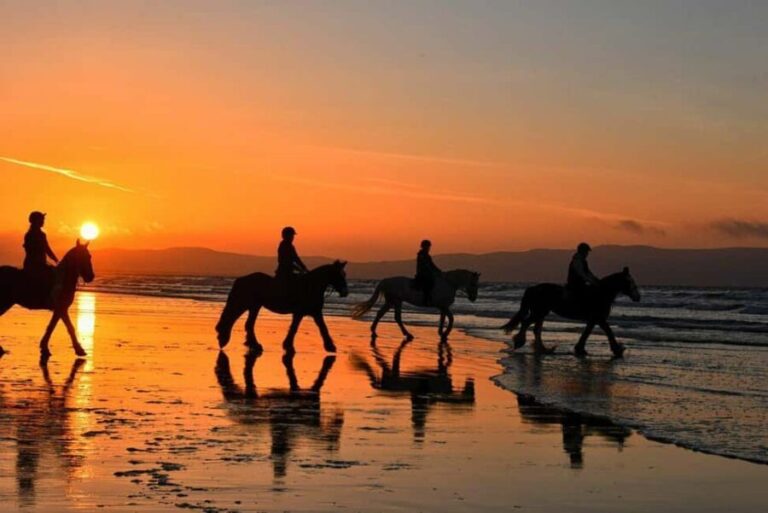 Agadir and Taghazout: 2-Hour Horseback Ride on the Beach - Who Will Enjoy This Experience?