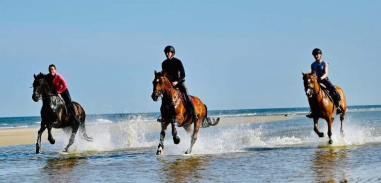 Agadir and Taghazout: Morning Horse Ride on The Beach - Is It Worth The Price?