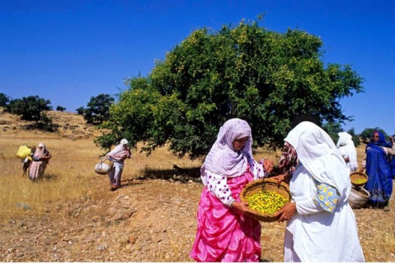 Agadir: Argan Oil Cooperative & Traditional Crafts Workshop - Why This Tour Offers Real Value