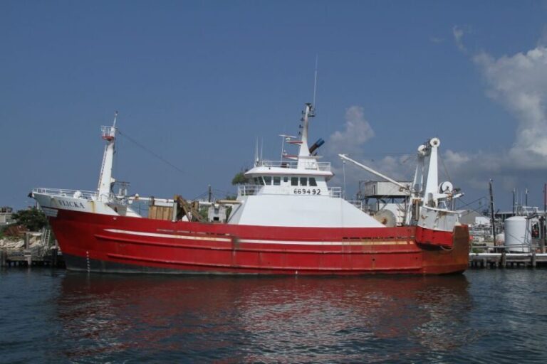 Agadir Boat Trip fishing & Swimming Adventure - What Makes This Experience Stand Out