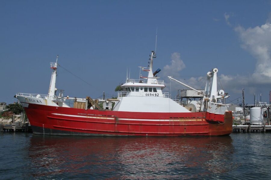 Agadir Boat Trip fishing & Swimming Adventure - What Makes This Experience Stand Out